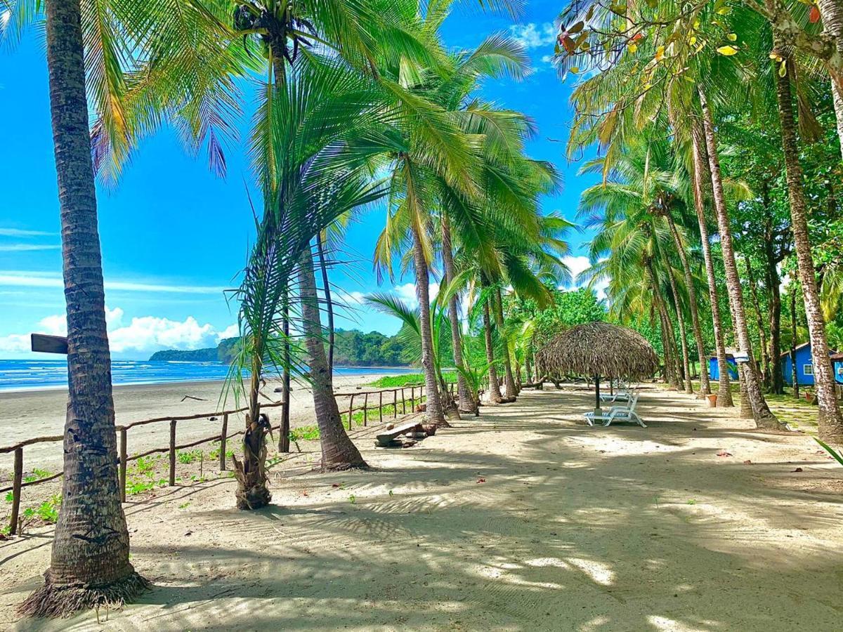 Hotel Oasis & Surf Camp سانتا كاتالينا المظهر الخارجي الصورة