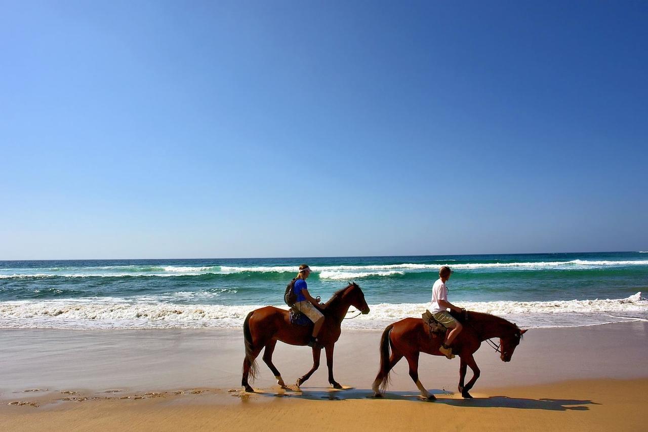 Hotel Oasis & Surf Camp سانتا كاتالينا المظهر الخارجي الصورة