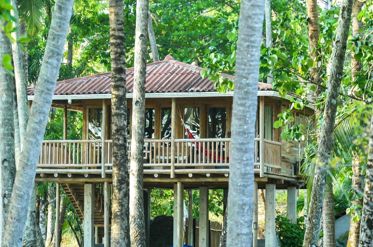 Hotel Oasis & Surf Camp سانتا كاتالينا المظهر الخارجي الصورة